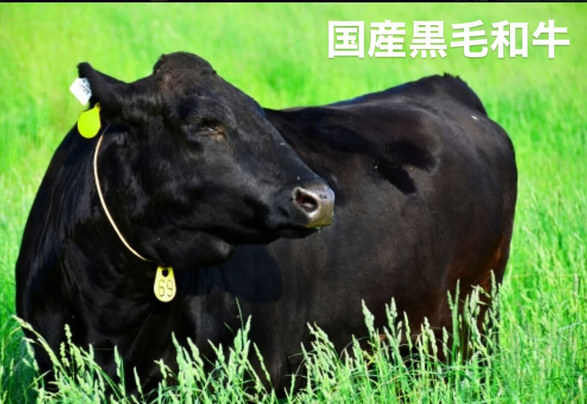 焼肉溶岩　酒と肉と　久米川